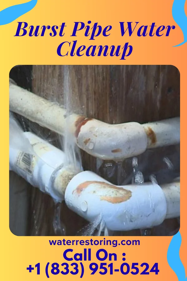 Burst Pipe Water Cleanup in Whitney, NE