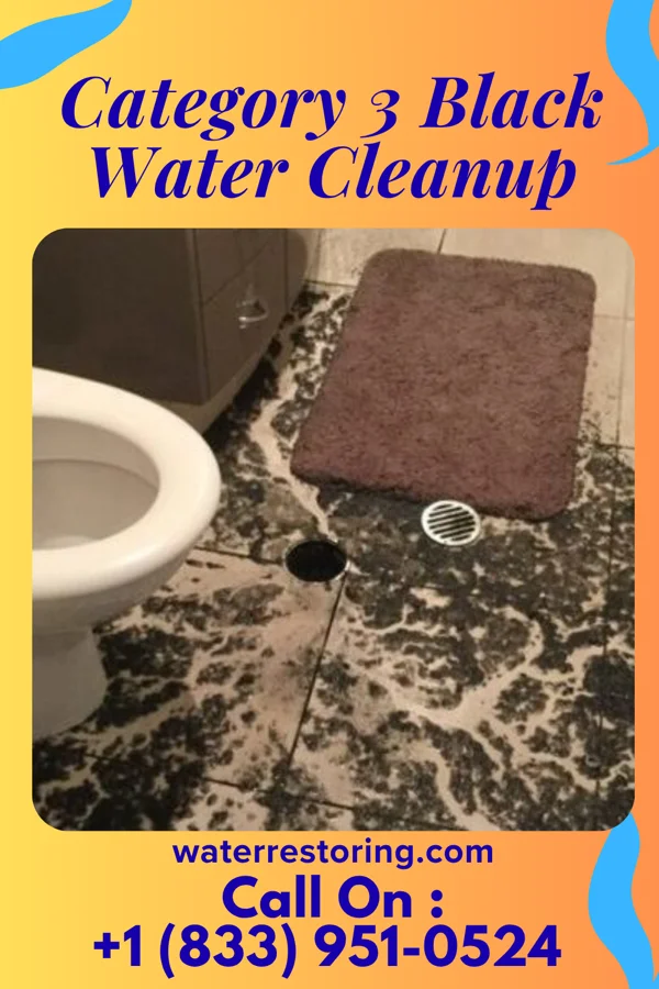 Category 3 Black Water Cleanup in Whitney, NE