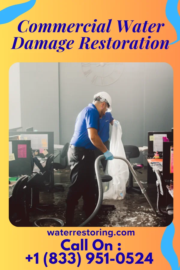 Commercial Water Damage Restoration in Whitney, NE