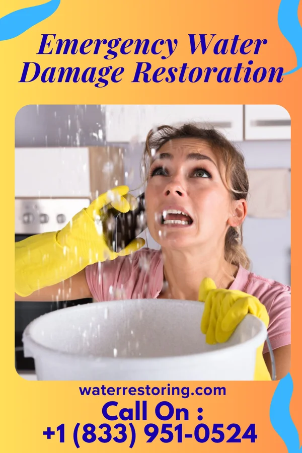 Emergency Water Damage Restoration in Whitney, NE