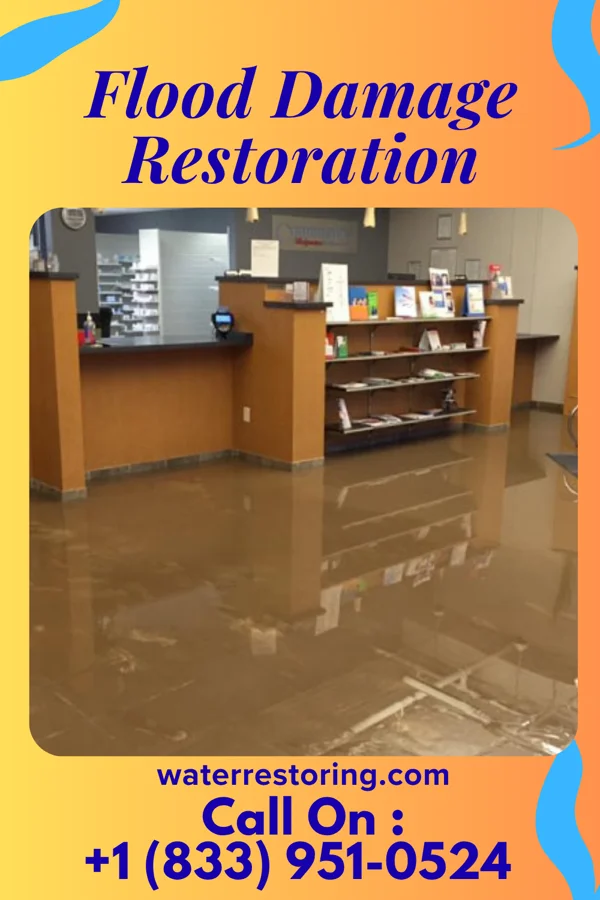 Flood Damage Restoration in Whitney, NE