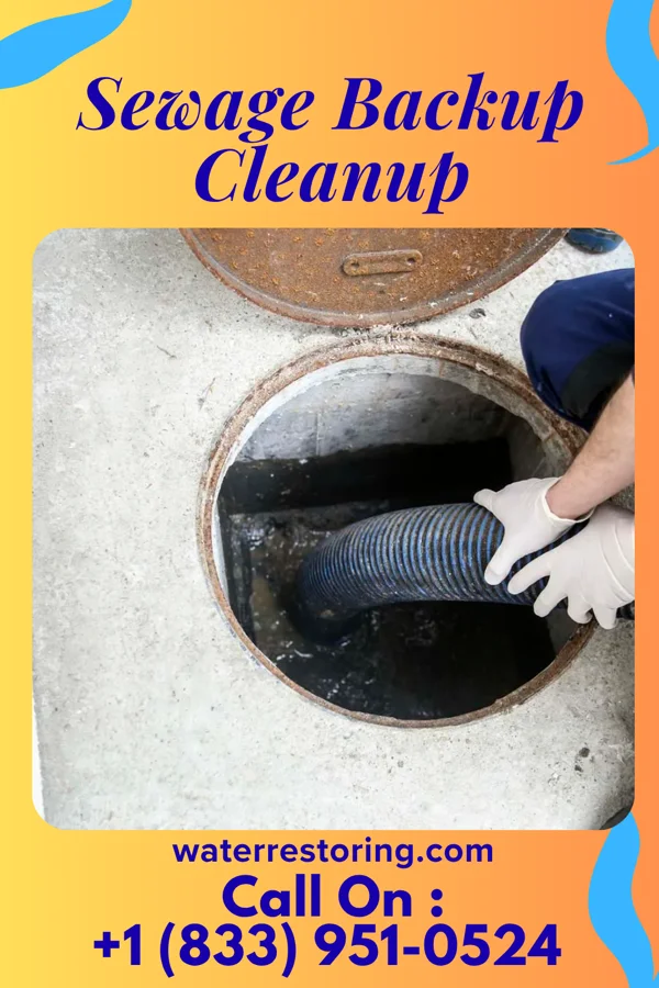 Sewage Backup Cleanup in Whitney, NE